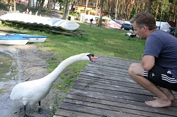 KORMORAN holiday resort 05a