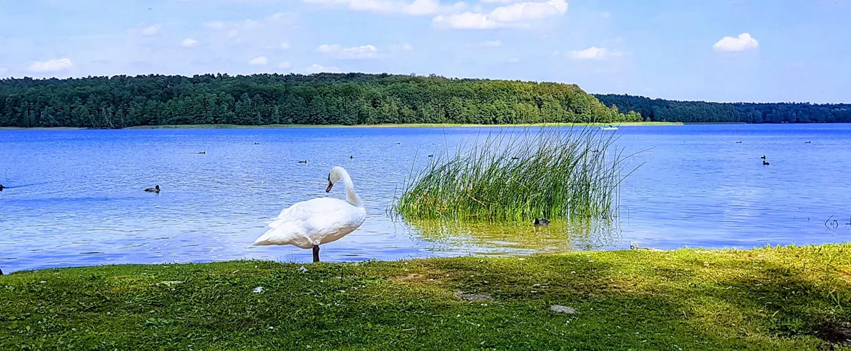 KORMORAN puhkekeskus 02